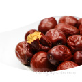 Rohe gute Qualität Größere Größe Snack Red Jujube